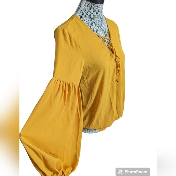 Zara Bodysuit - Picture 2 of 12